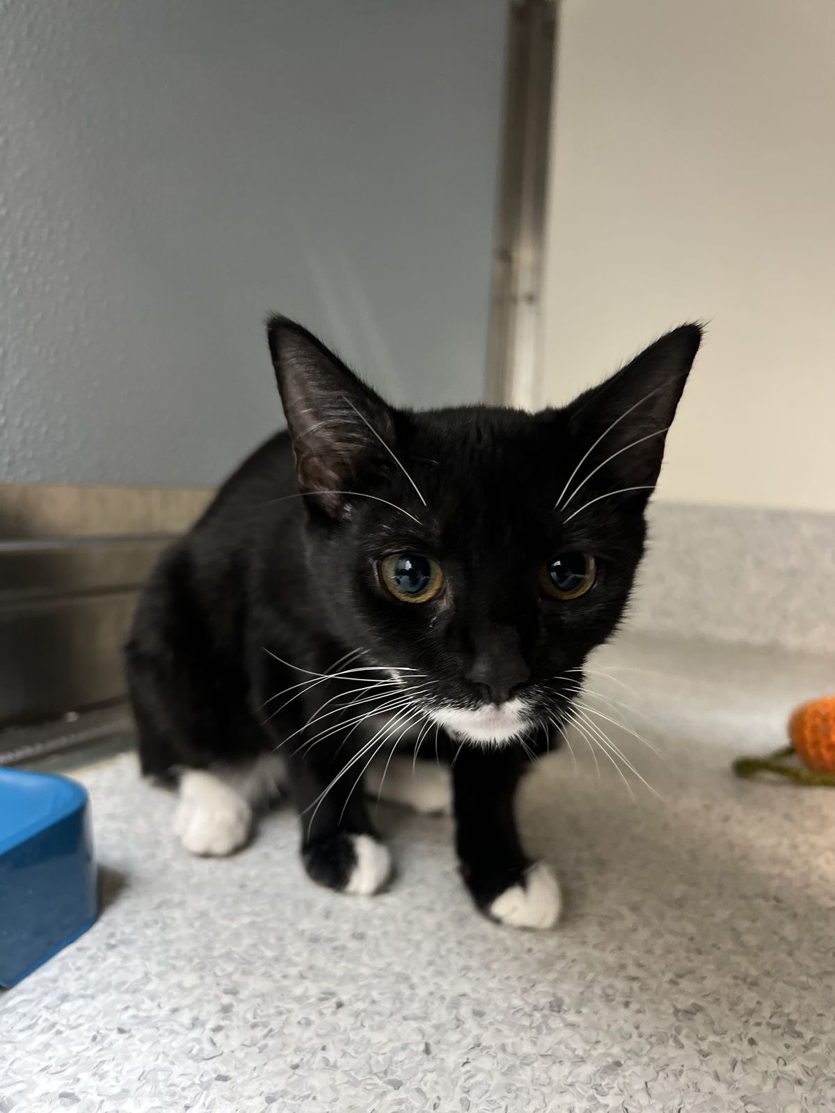 Gallery image: Arial