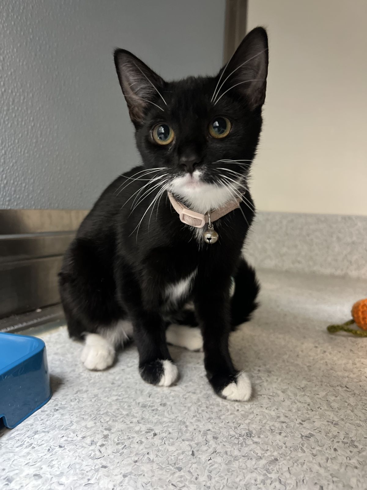 Gallery image: Arial