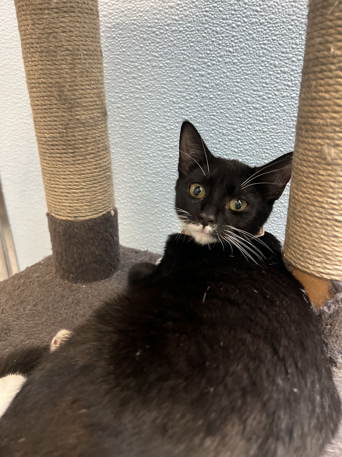 Gallery image: Arial