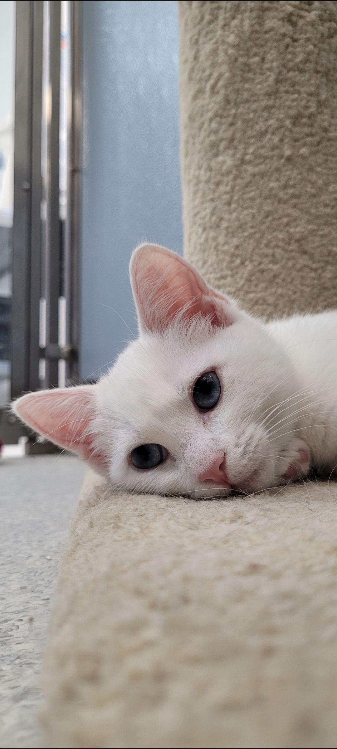 Gallery image: Crystal