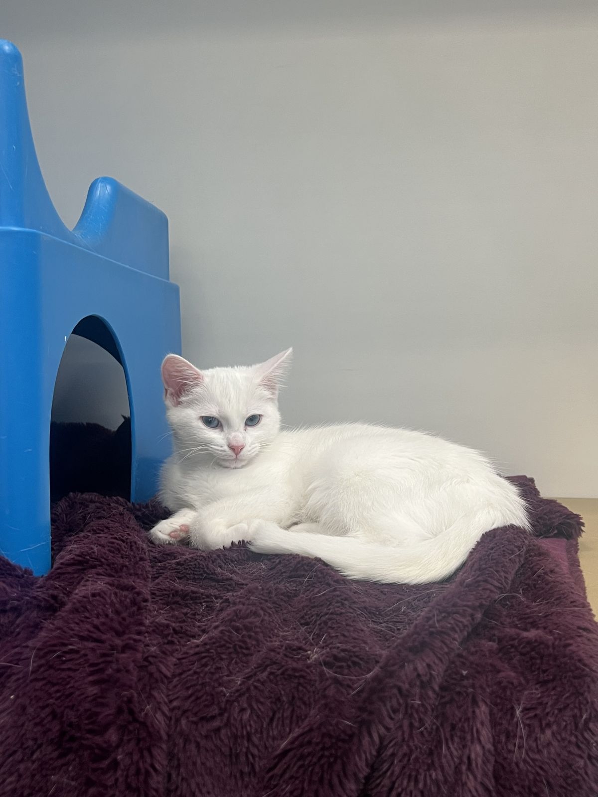 Gallery image: Crystal