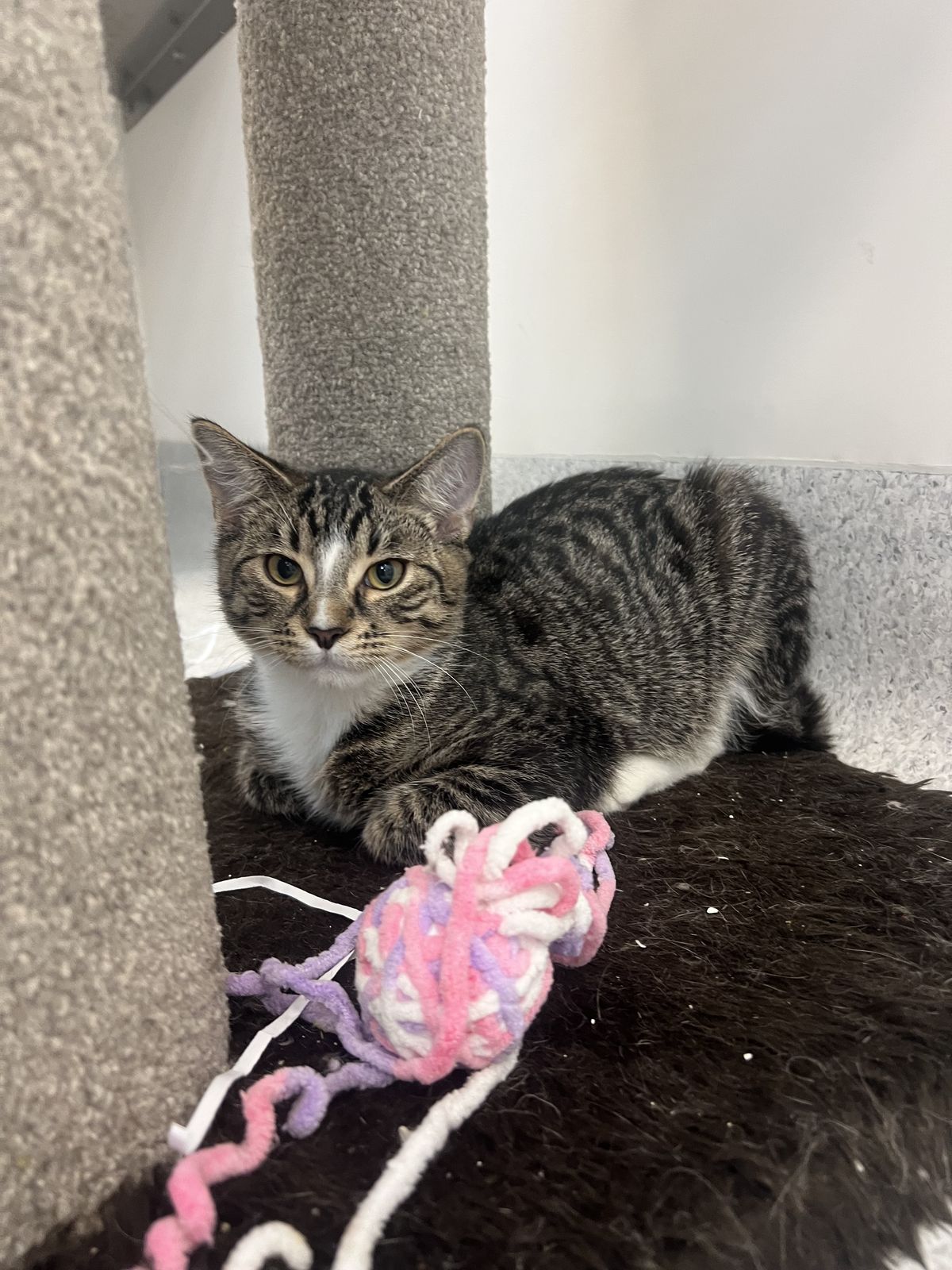 Gallery image: Billy 