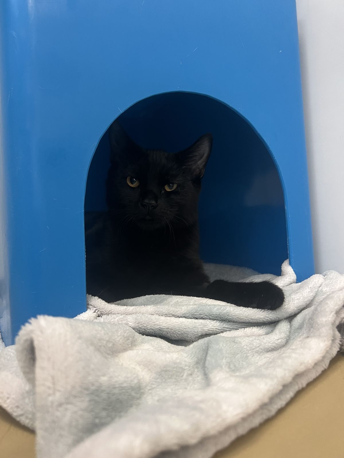 Gallery image: Tilly 