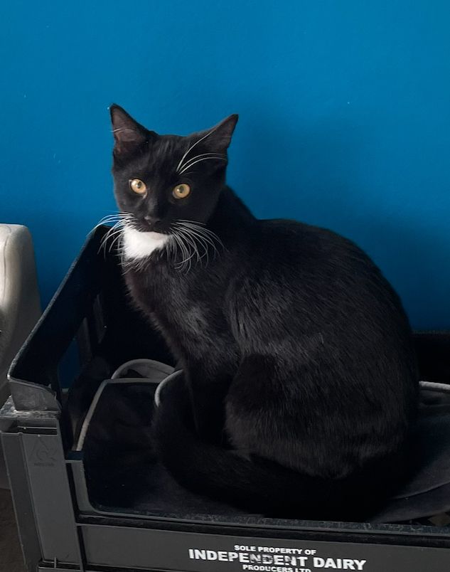 Gallery image: Crackers