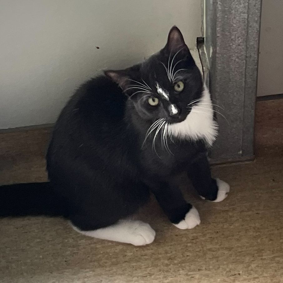 Gallery image: John Wick