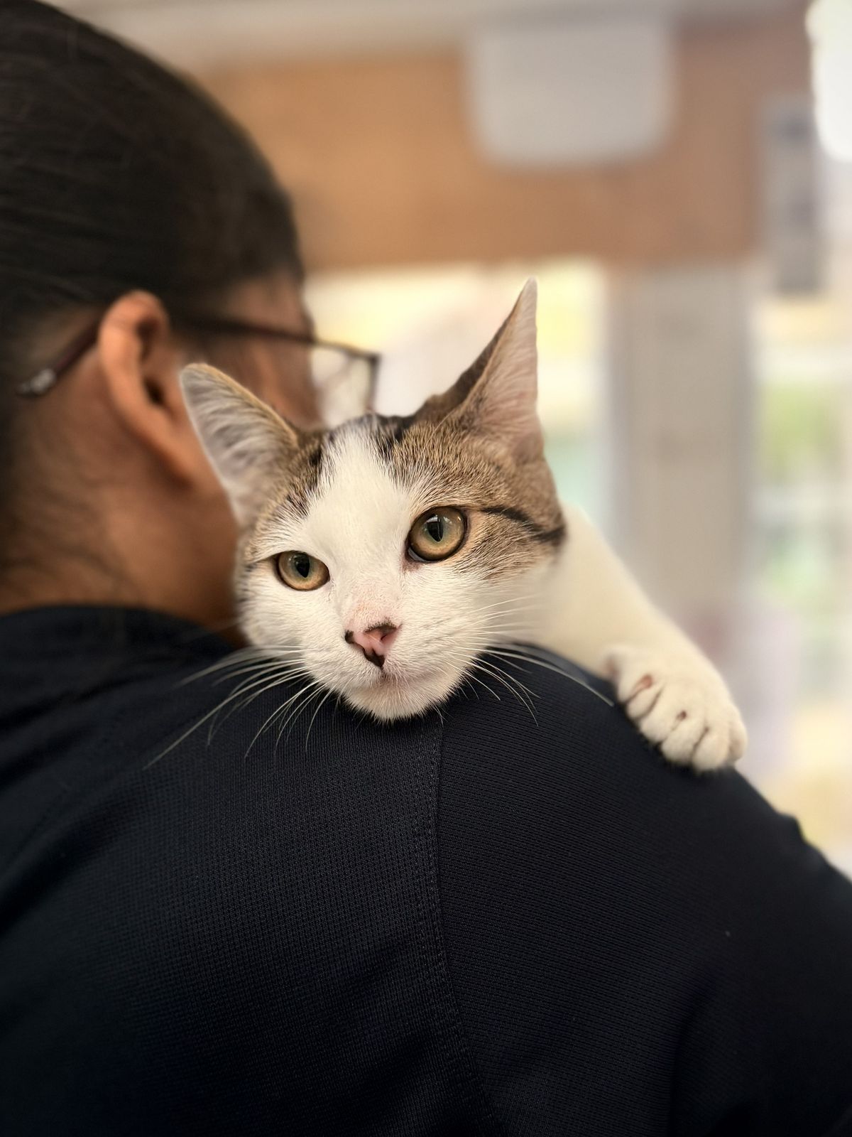 Gallery image: George 