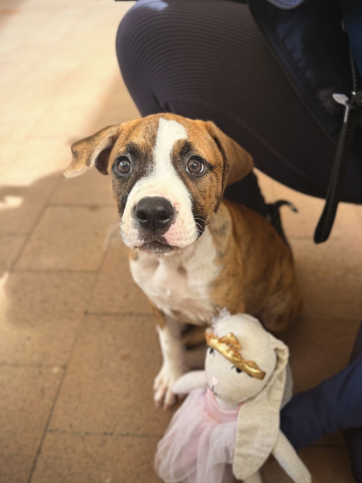 Gallery image: Clover