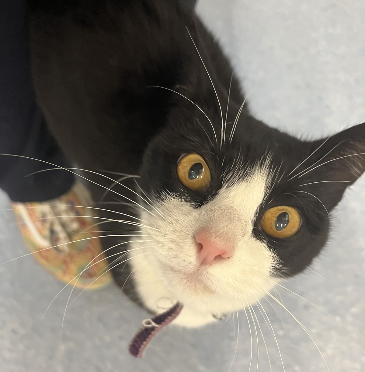 Gallery image: Margo