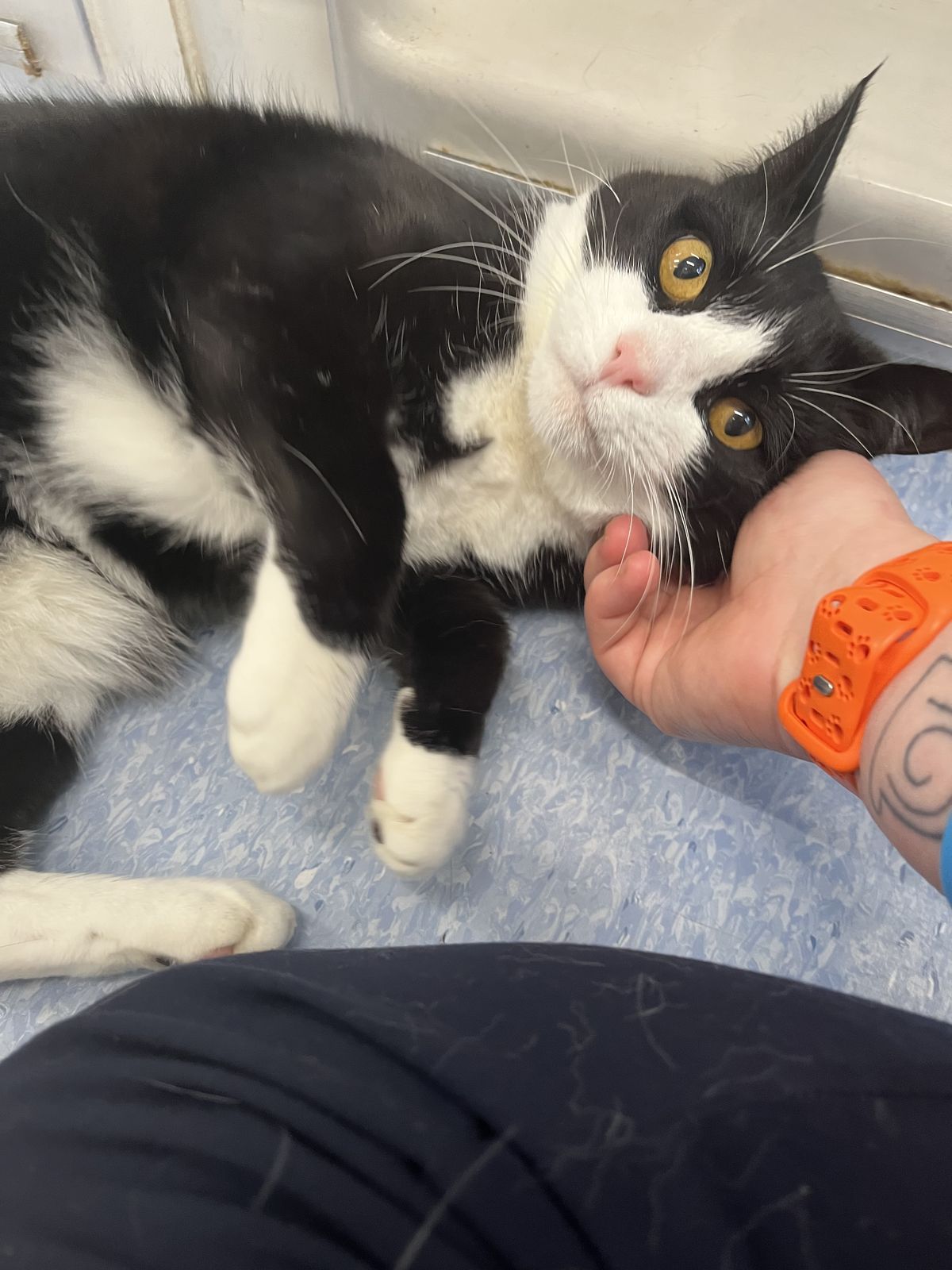 Gallery image: Margo