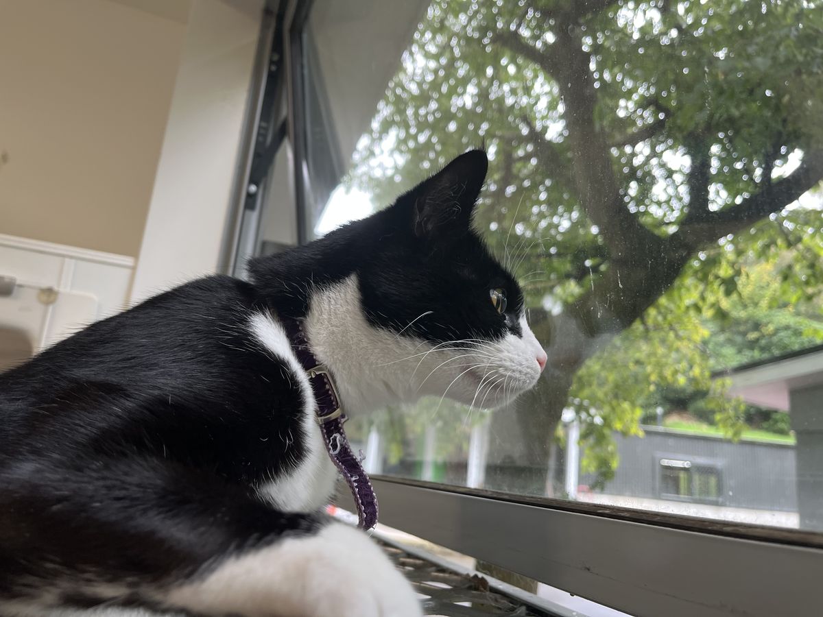 Gallery image: Margo