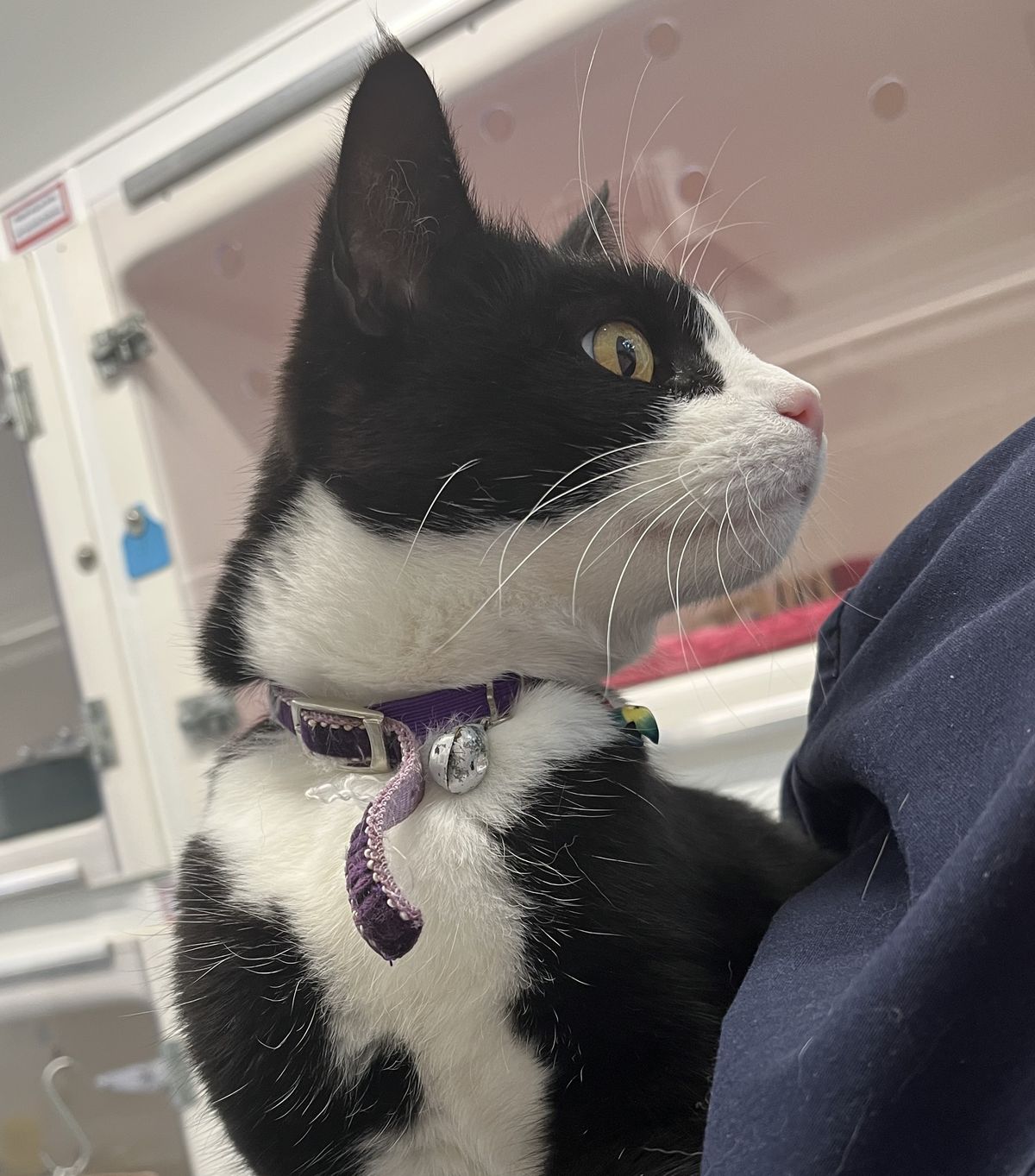 Gallery image: Margo