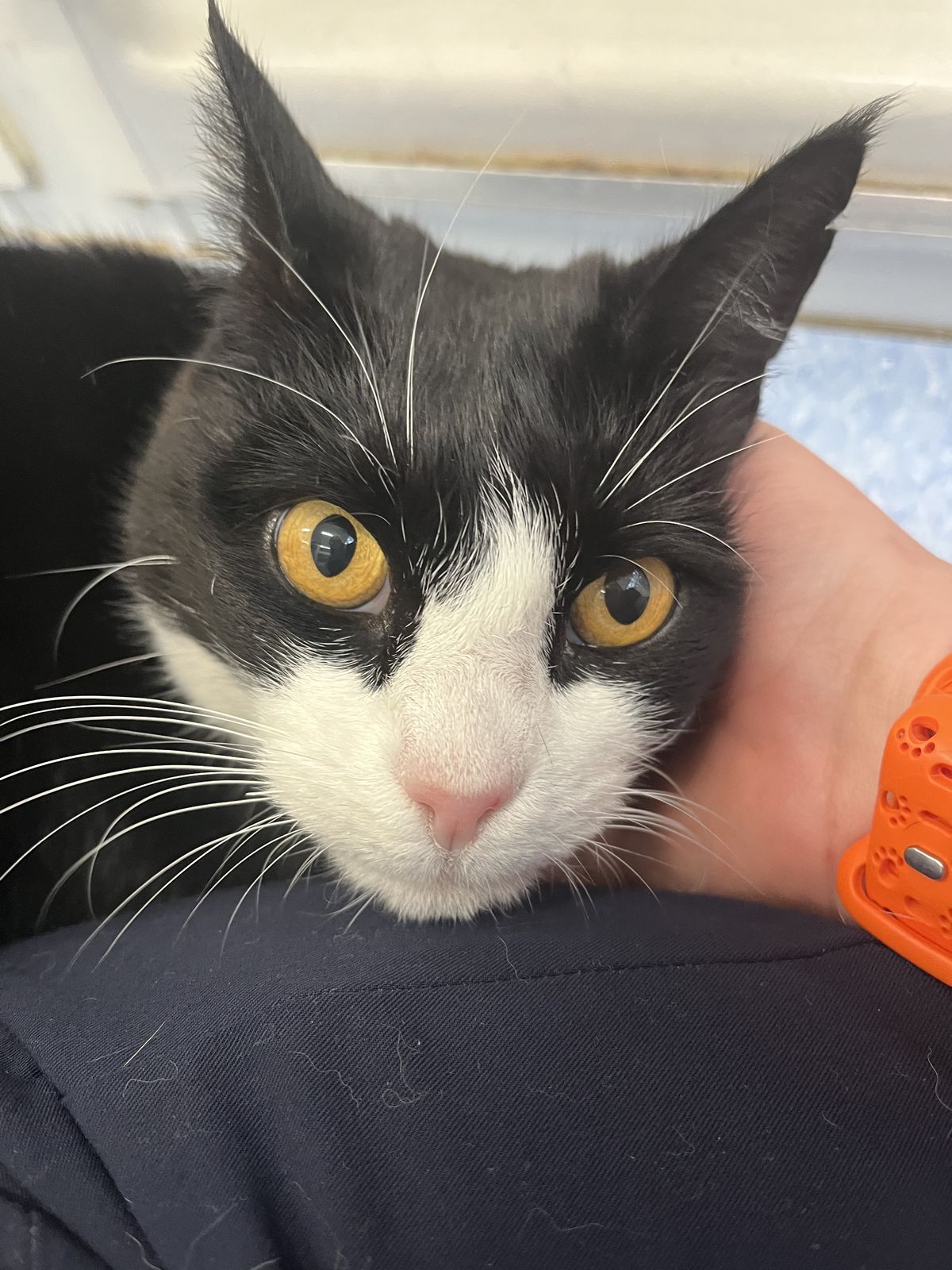 Gallery image: Margo