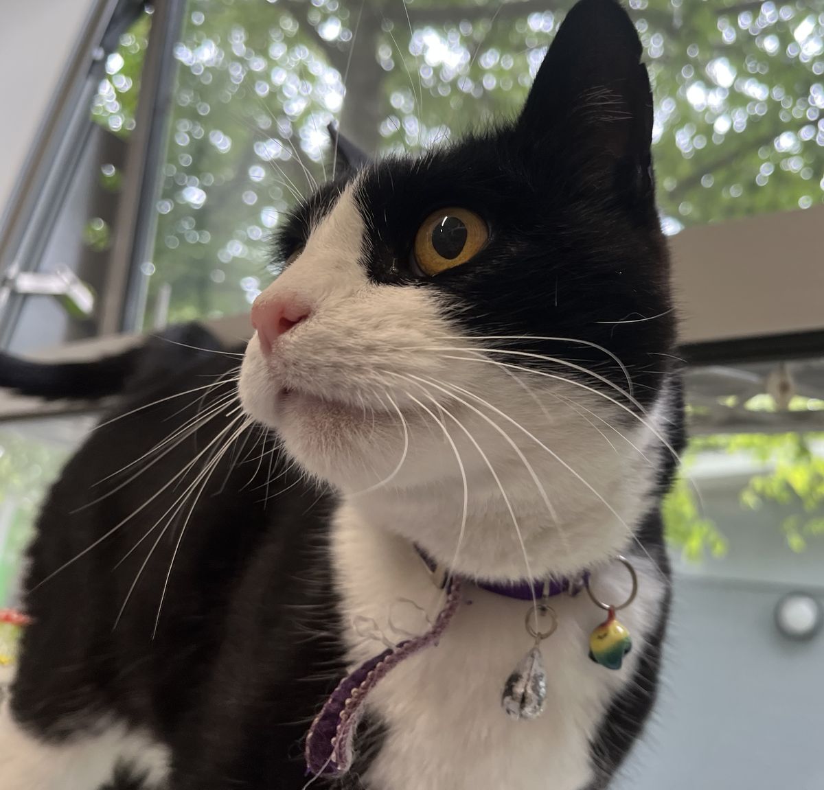 Gallery image: Margo