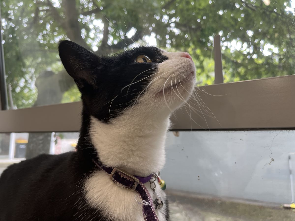 Gallery image: Margo