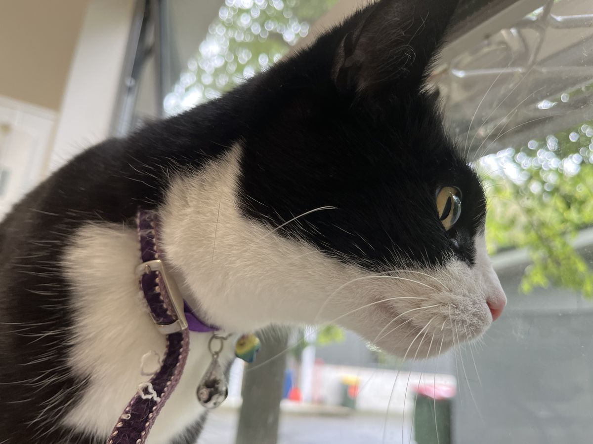 Gallery image: Margo