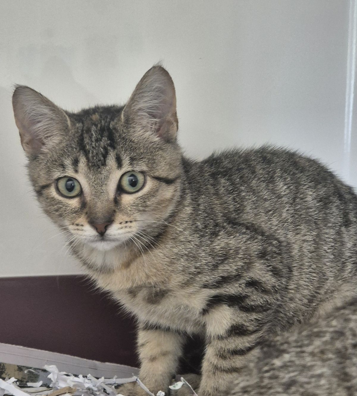 Gallery image: Hilda