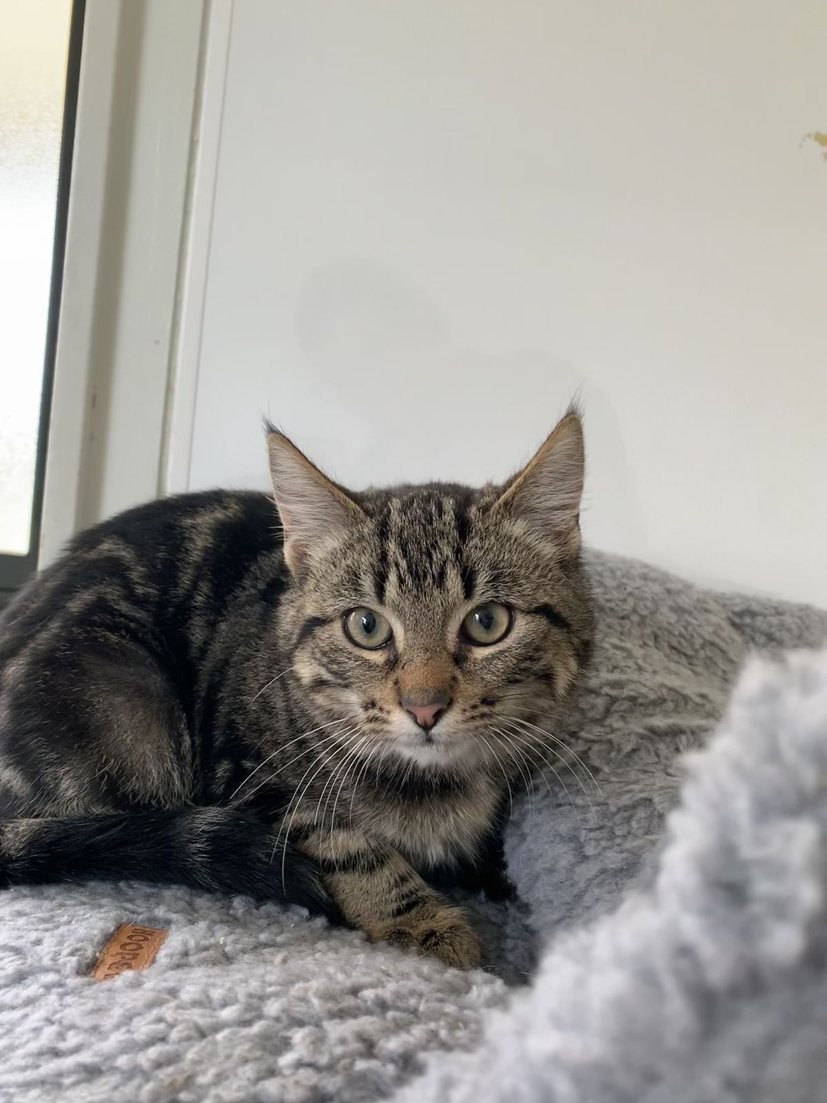 Gallery image: Asher