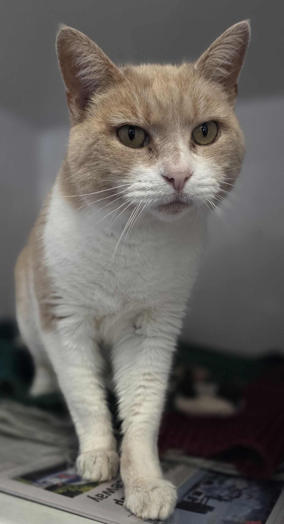 Gallery image: Doris