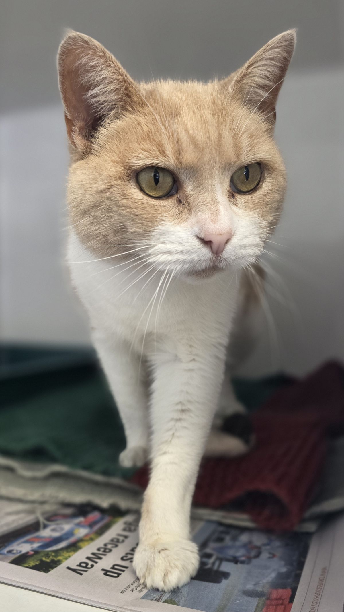 Gallery image: Doris