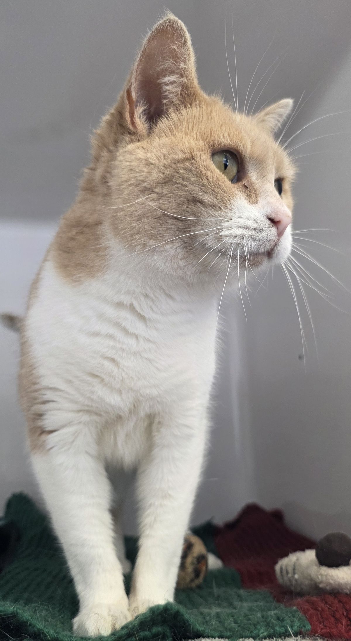 Gallery image: Doris