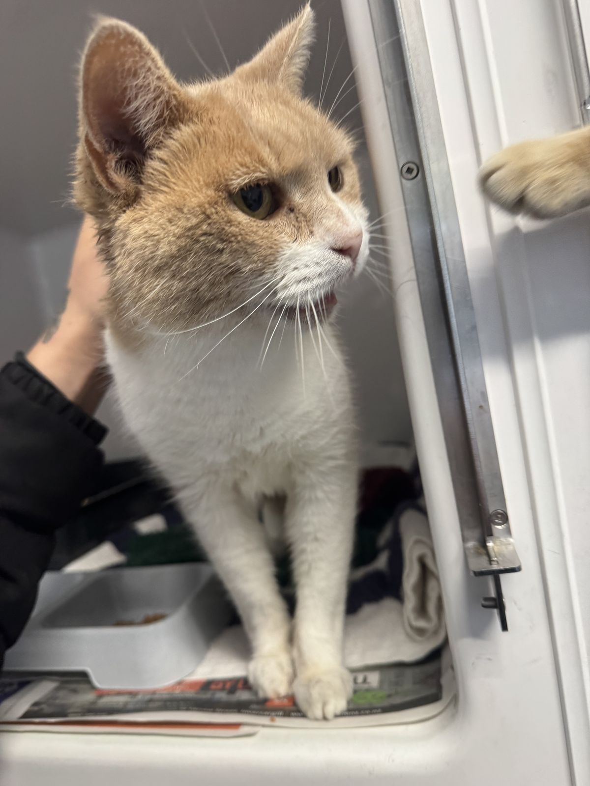 Gallery image: Doris