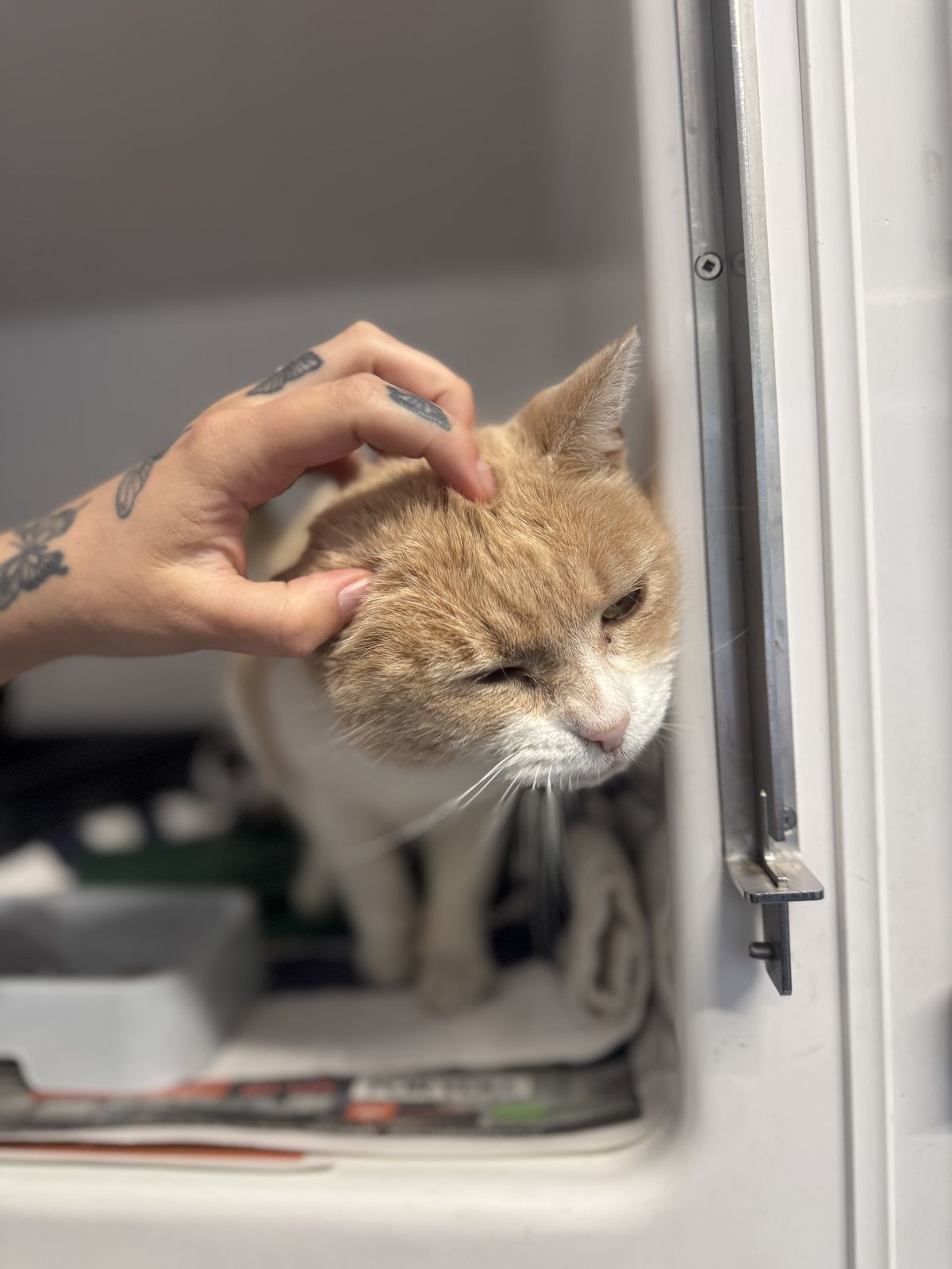 Gallery image: Doris