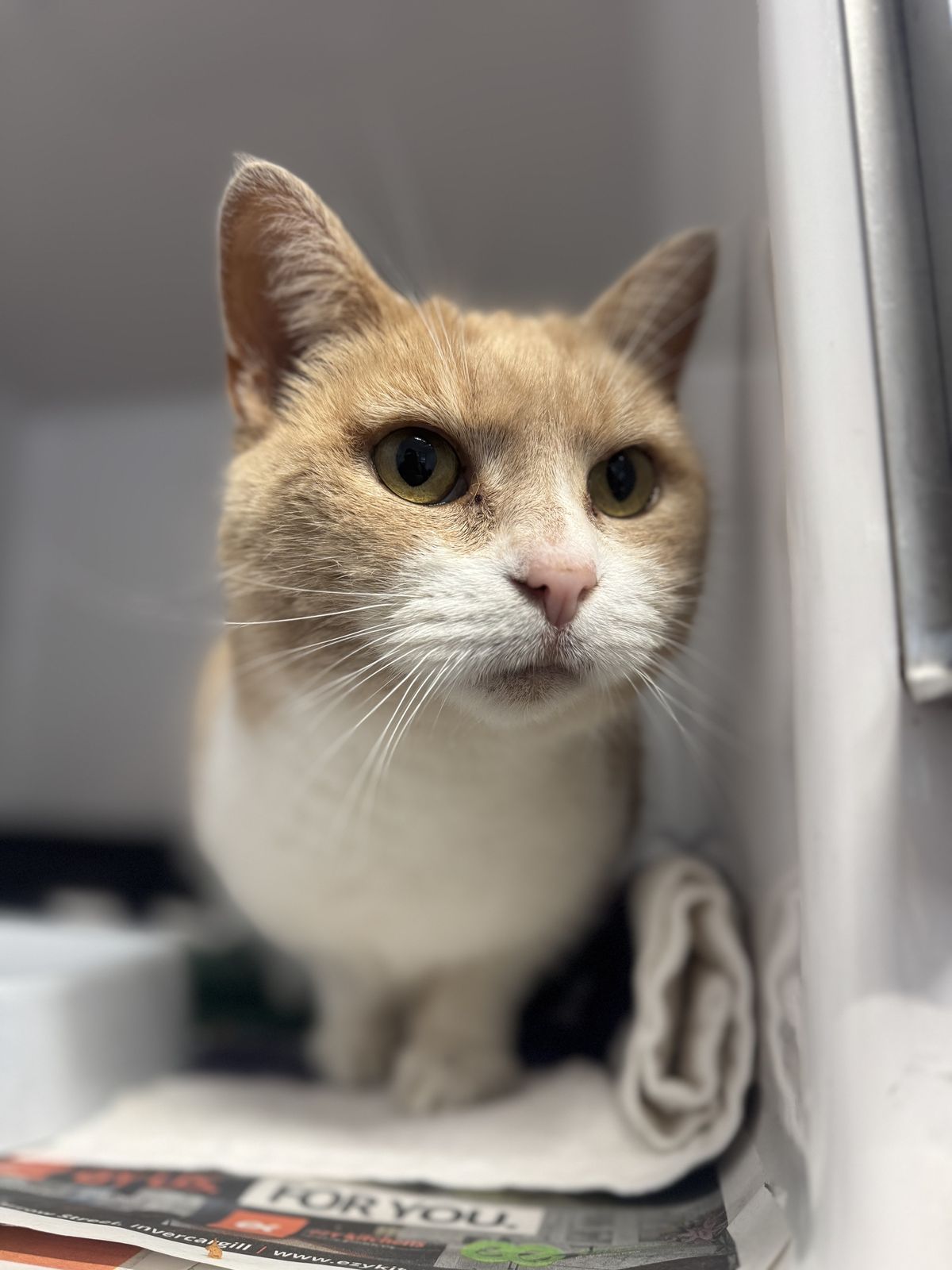 Gallery image: Doris