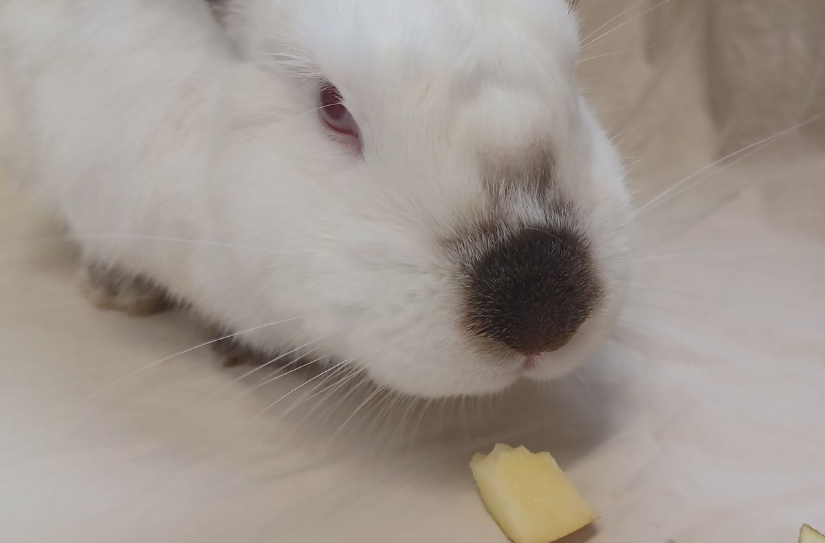 Gallery image: Carlos