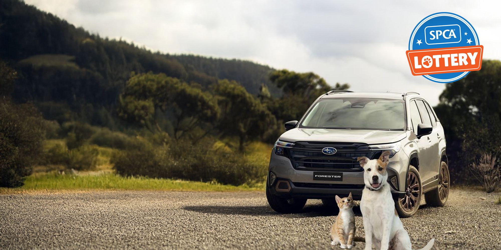 Win Big and Help Animals!