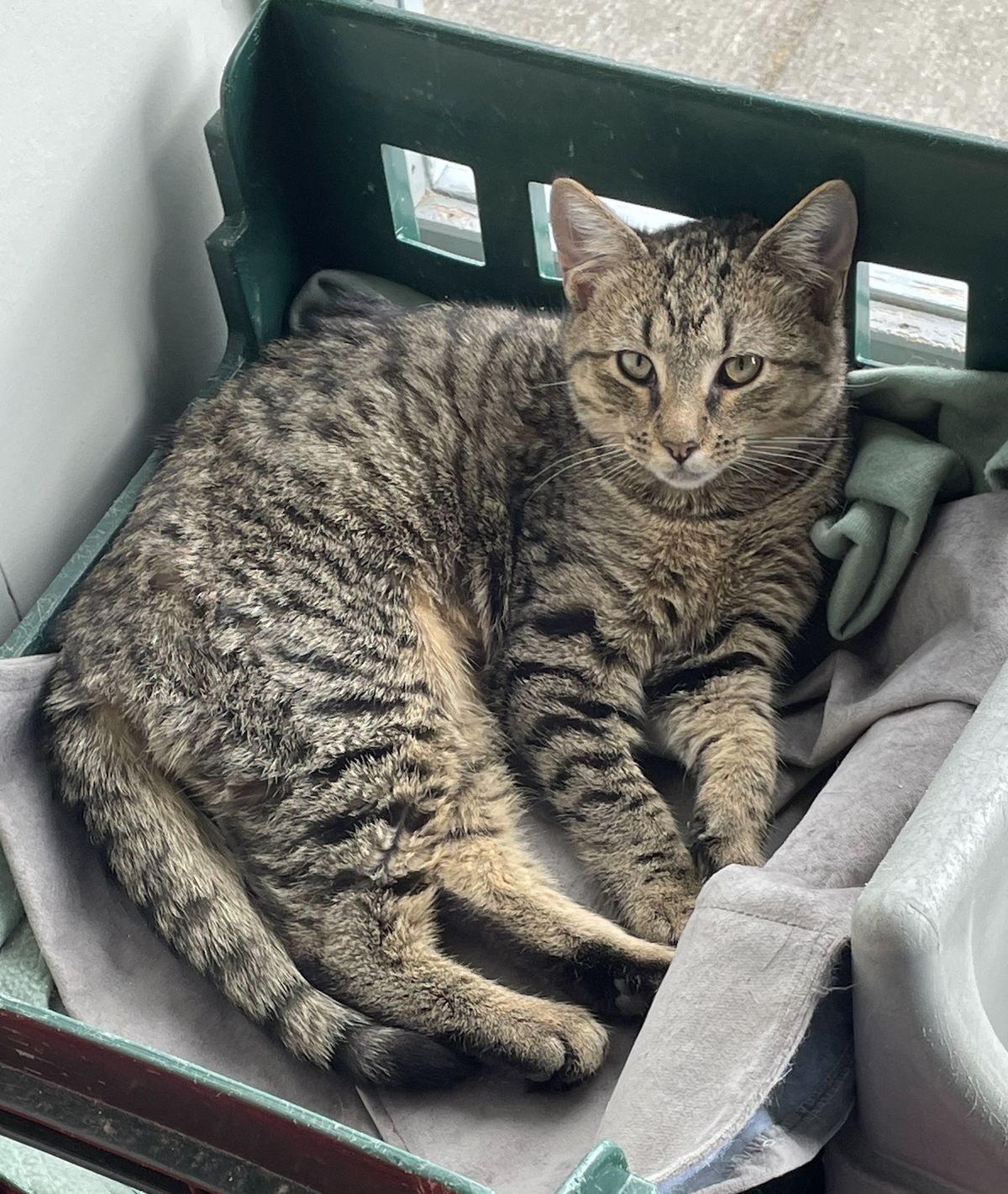 Gallery image: Precious 