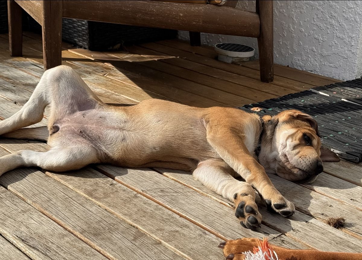 Gallery image: Honey