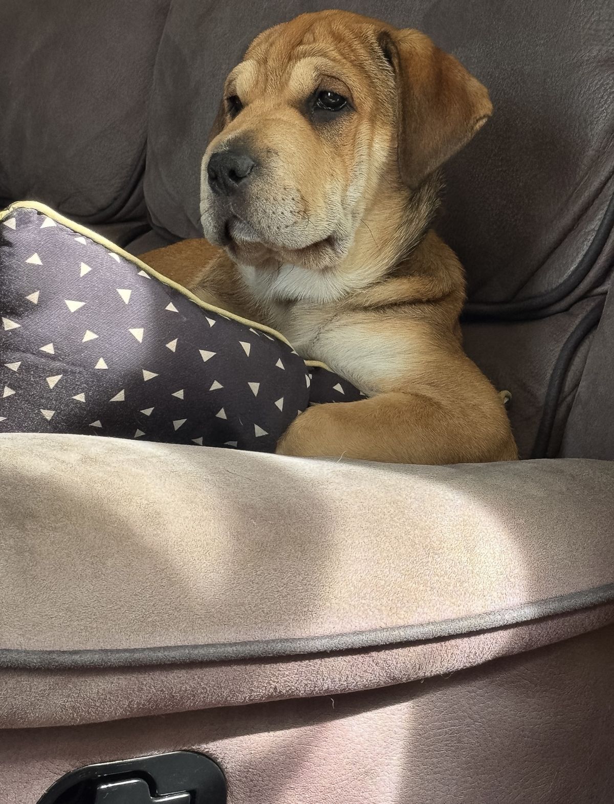 Gallery image: Honey