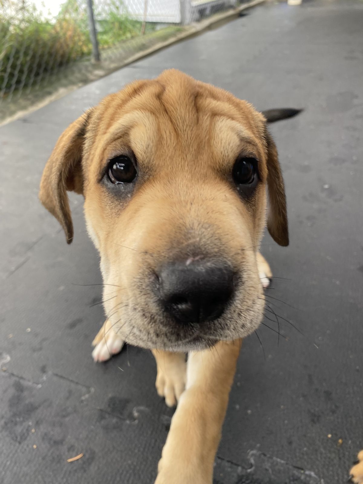 Gallery image: Honey