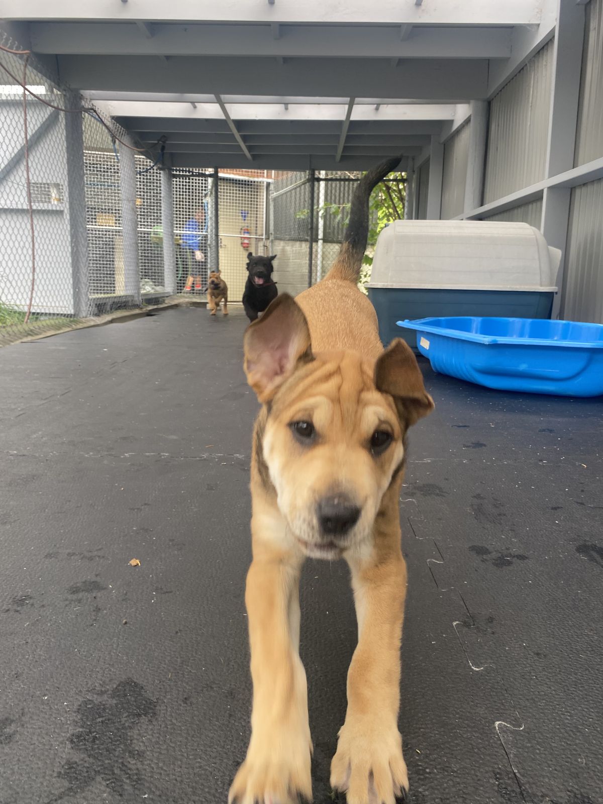 Gallery image: Honey