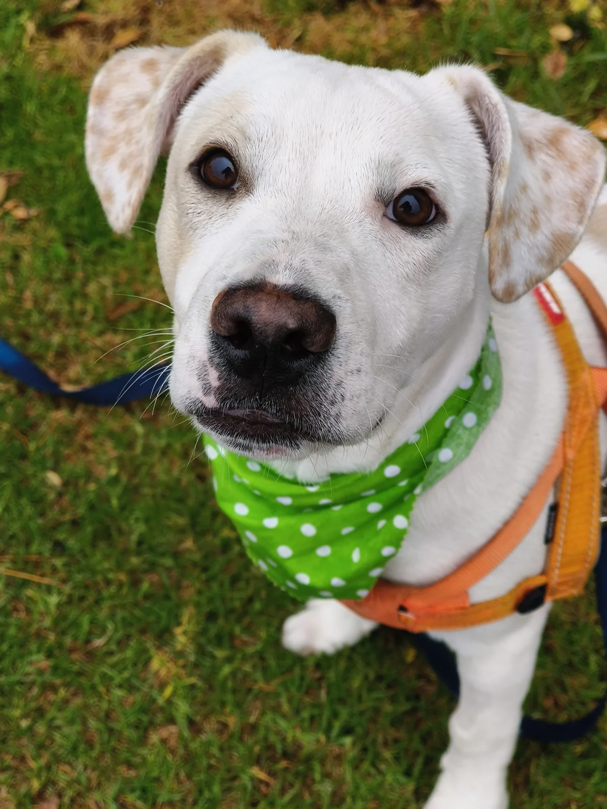 Gallery image: Titus