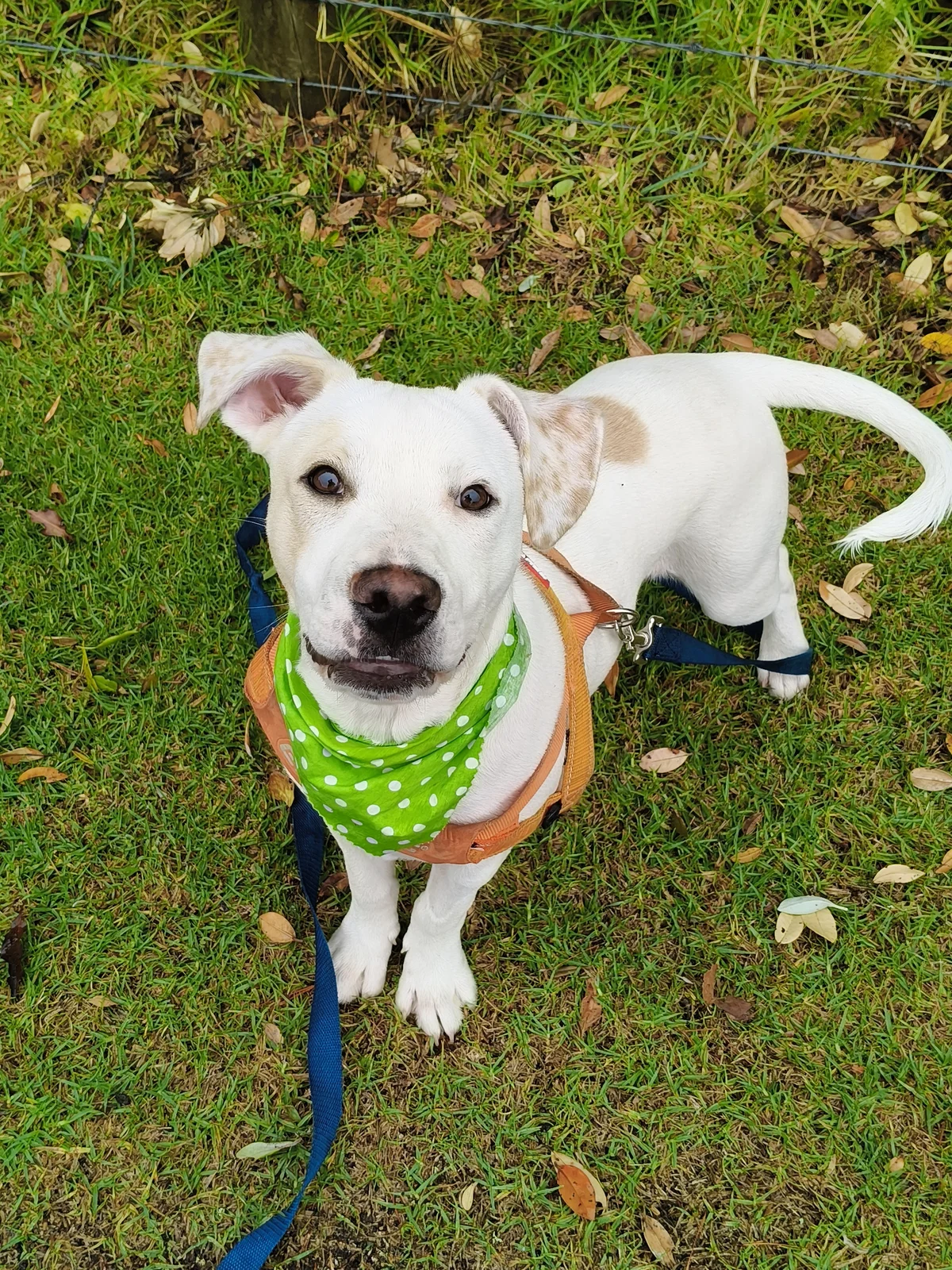 Gallery image: Titus