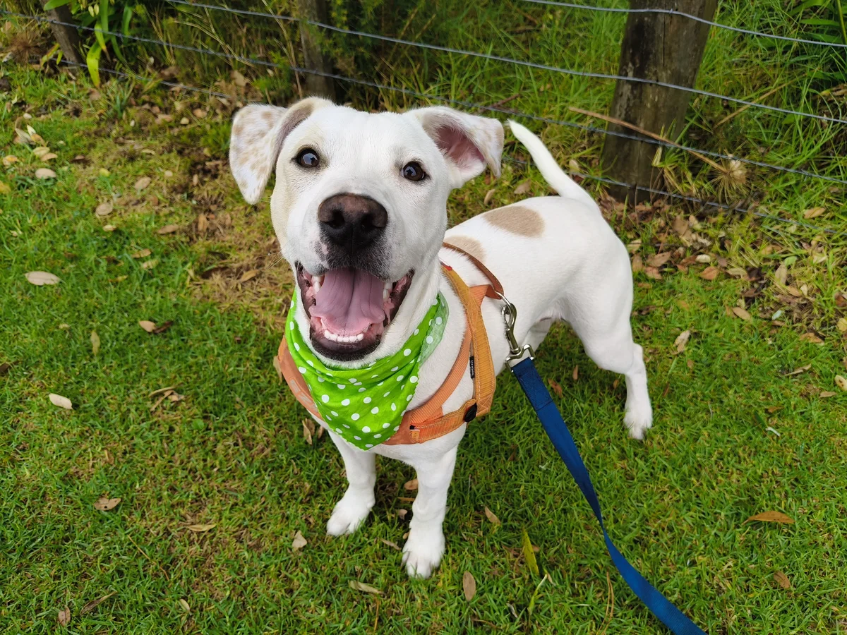 Gallery image: Titus