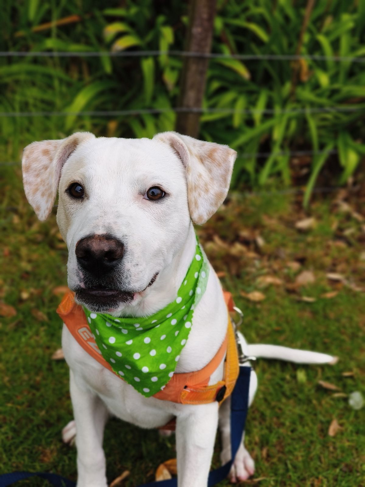 Gallery image: Titus