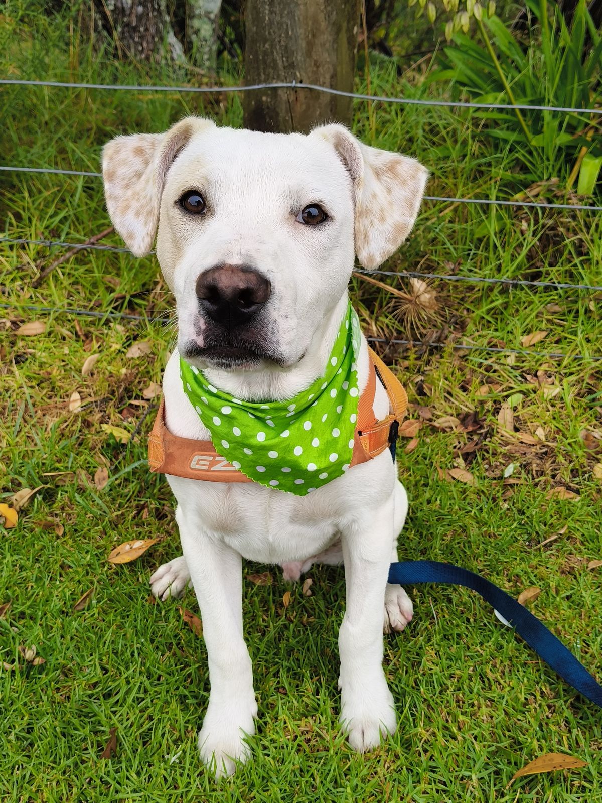 Gallery image: Titus