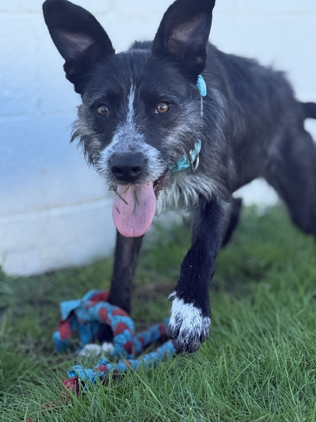 Gallery image: Kylie