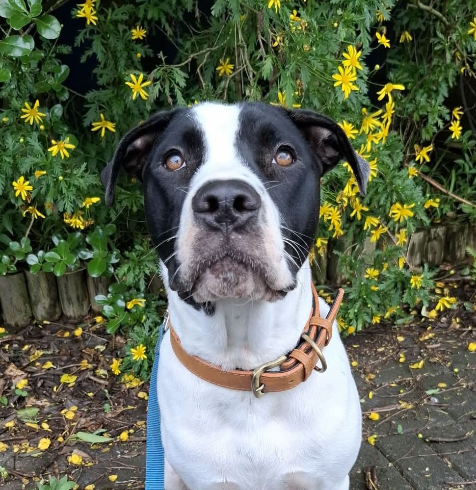 Gallery image: Archer