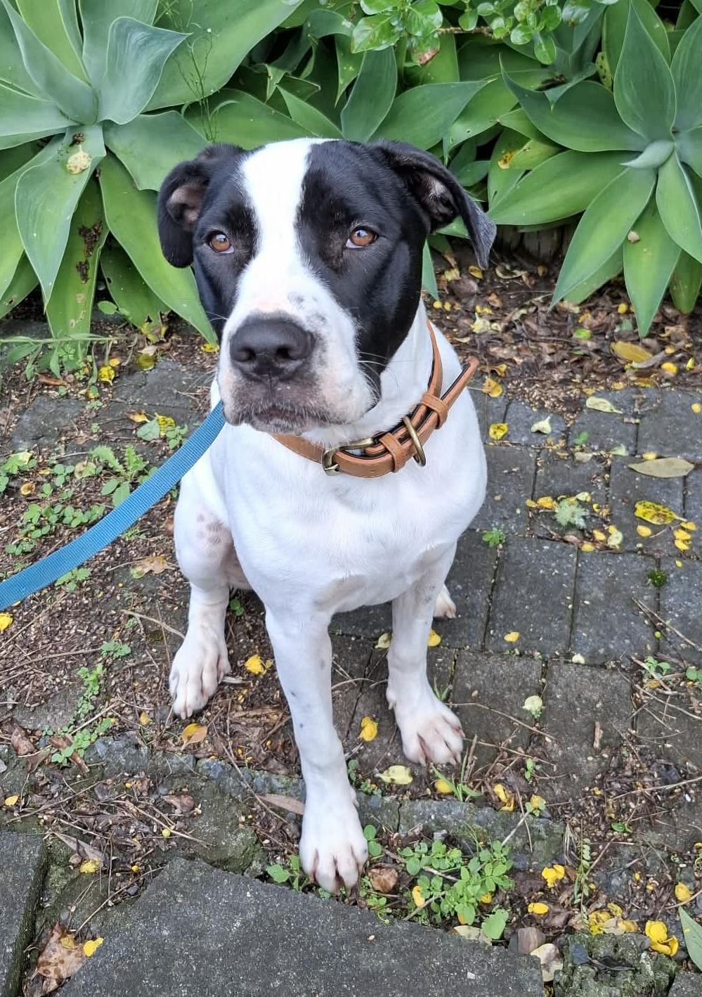 Gallery image: Archer