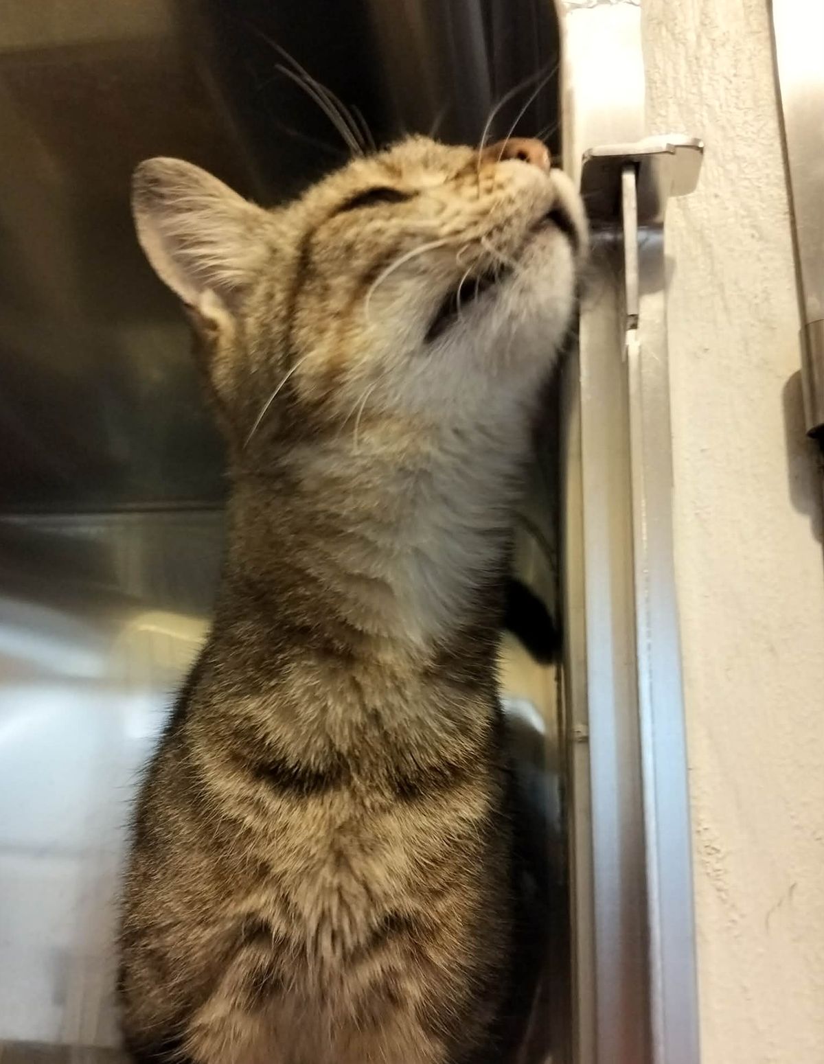 Gallery image: Eliza