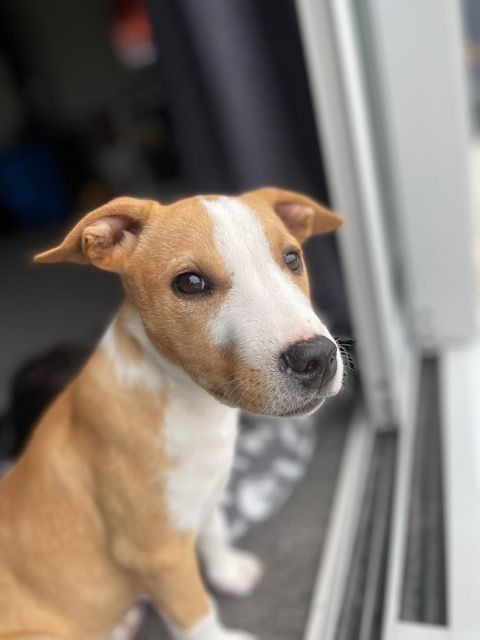 Gallery image: Marley