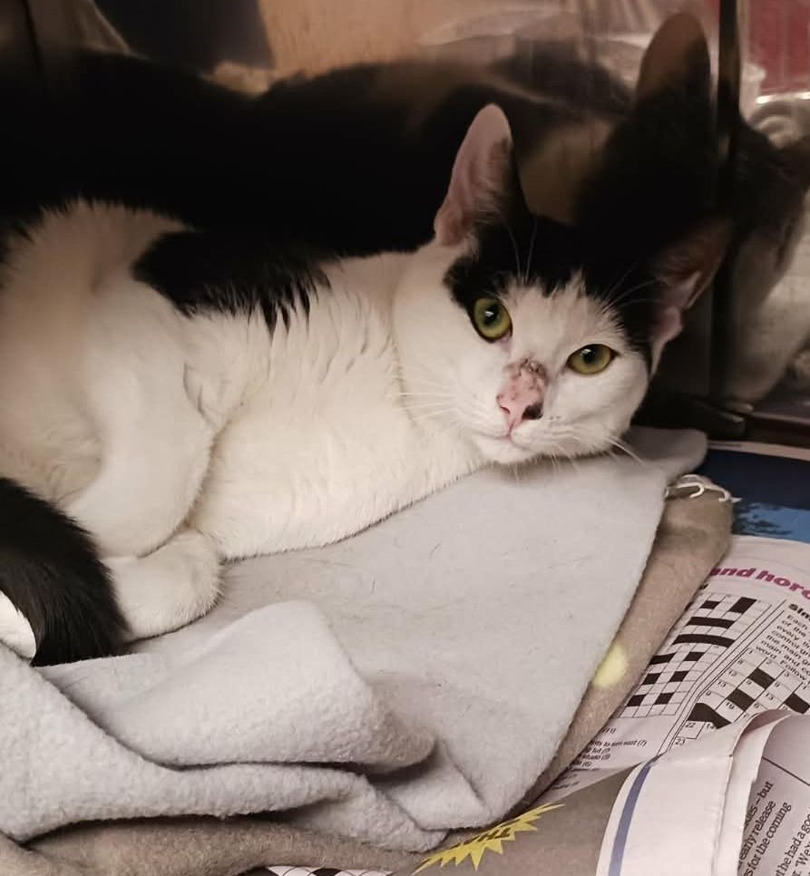 Gallery image: Frank