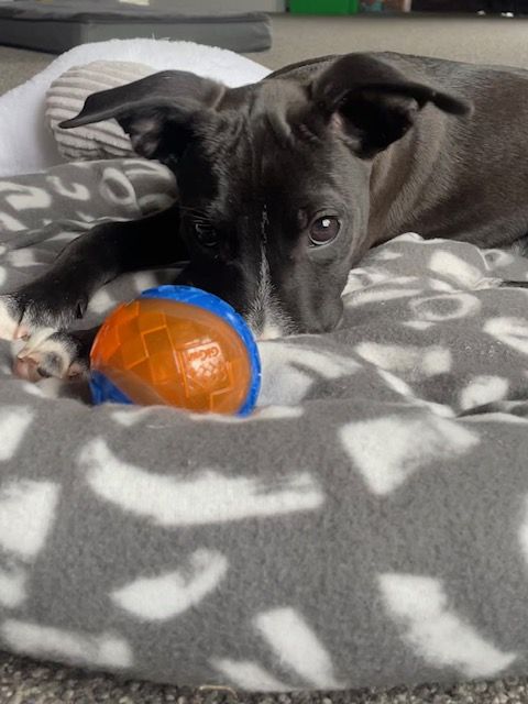 Gallery image: Bobbi