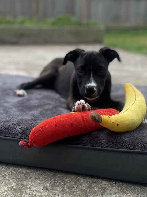 Gallery image: Bobbi