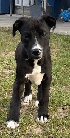 Gallery image: Bobbi