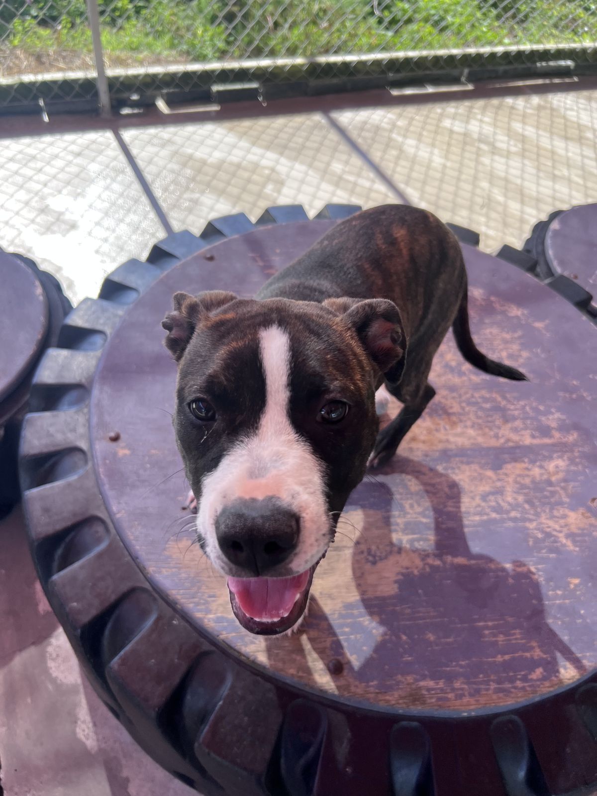 Gallery image: Mellow