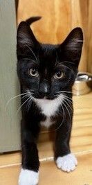 Gallery image: Bailey